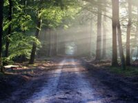 6 Filmes Inspiradores para Trabalhar seu Projeto de Vida