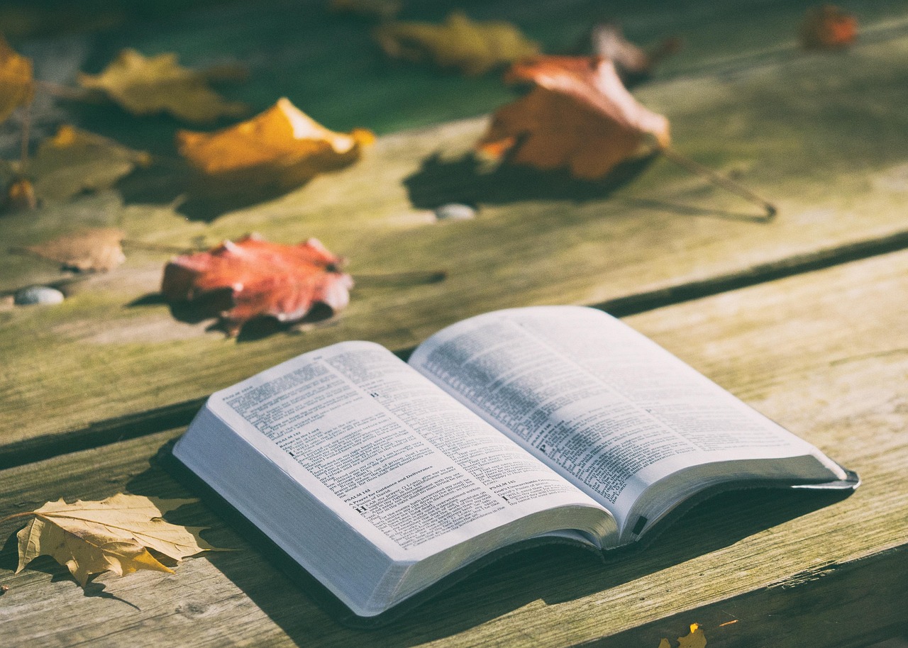 O que Significa Morcego na Bíblia? 5 Versículos Reveladores