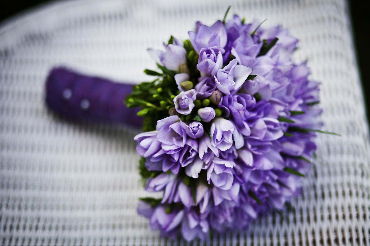 10 Tipos de Orquídeas do Mato que Vão Encantar seu Jardim