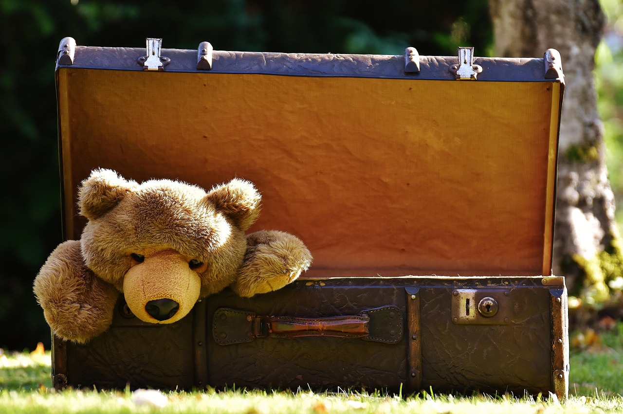 Profissões que Viajam Muito e Pagam Bem: 13 Opções de Sucesso