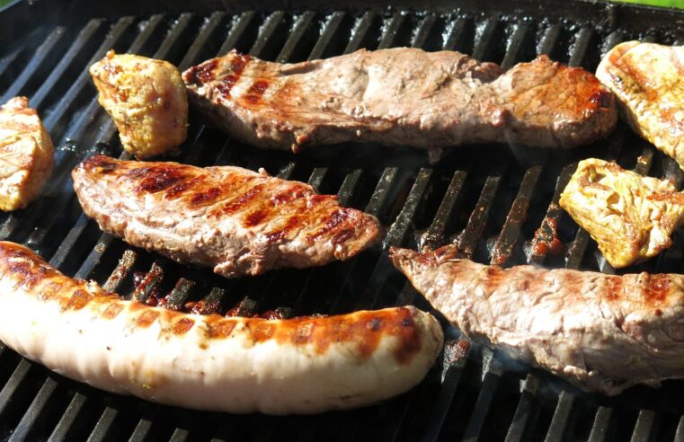 Usar Churrasqueira Elétrica: 8 Dicas para um Churrasco Perfeito