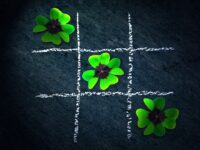 20 Plantas que Atraem Prosperidade e Energia Positiva