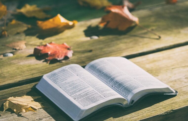 Meditar na Bíblia: 5 Passos para uma Conexão Espiritual Profunda
