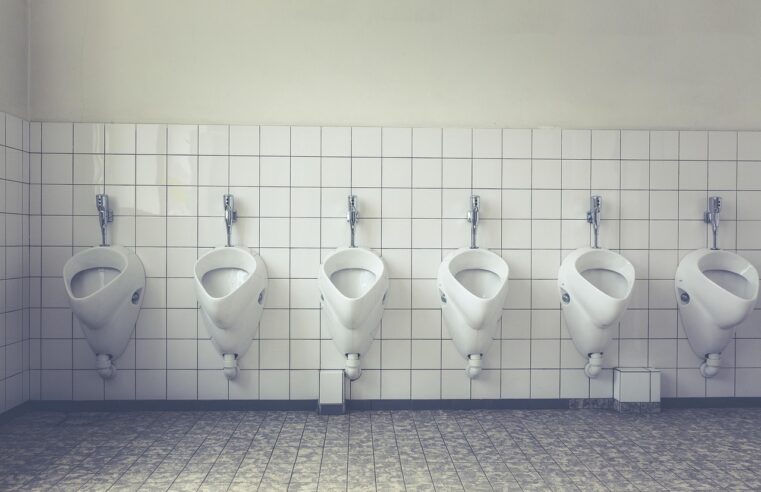 Melhor Vaso Sanitário que Não Entope: 5 Marcas Confiáveis