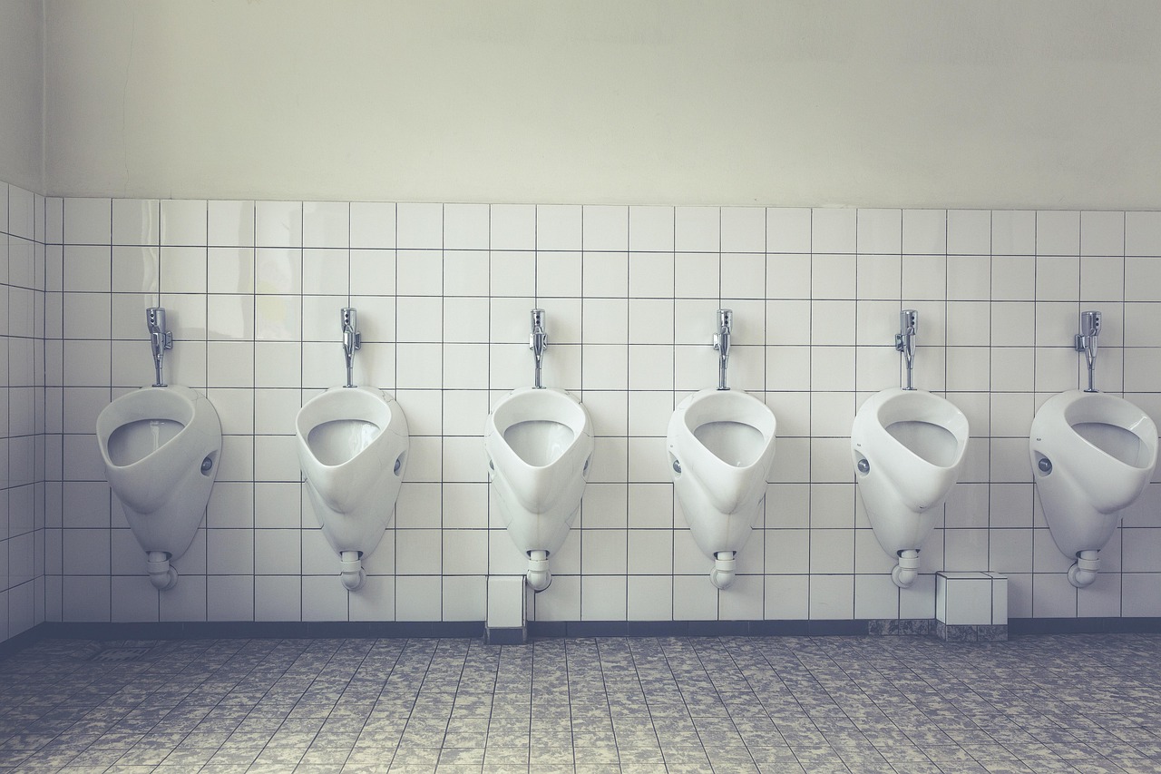 Melhor Vaso Sanitário que Não Entope: 5 Marcas Confiáveis