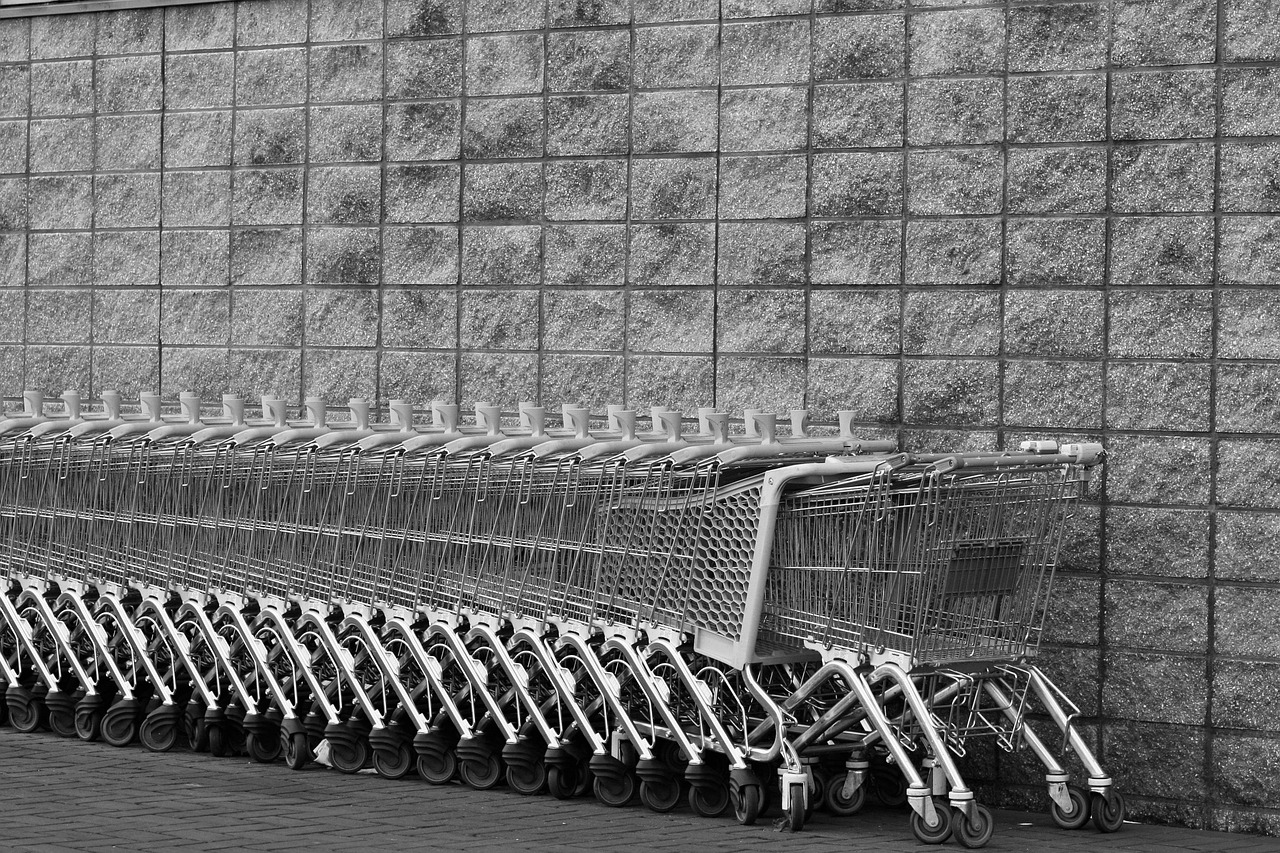 Comprar Ração Direto do Distribuidor: 8 Dicas para Economizar