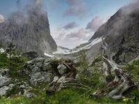 Limpar Portão de Alumínio Marrom: 4 Truques para um Visual Novo